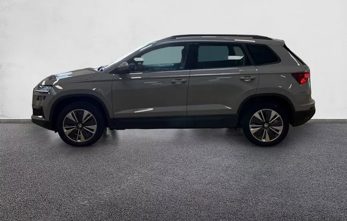 SKODA KAROQ 2.0 TDI 116 ch SCR Business extérieur côté gauche 211864