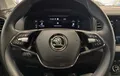 Miniature SKODA KAROQ 2.0 TDI 116 ch SCR Business photo 12 211864