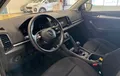 Miniature SKODA KAROQ 2.0 TDI 116 ch SCR Business photo 18 211864