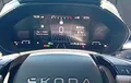Miniature SKODA FABIA 1.5 TSI 150 ch EVO 2 DSG7 Clever Edition photo 12 4655