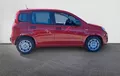Miniature FIAT PANDINA 1.0 65 ch Hybrid BSG S/S Icône extérieur côté droit 946170