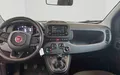 Miniature FIAT PANDINA 1.0 65 ch Hybrid BSG S/S Icône photo 15 946826