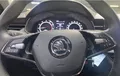 Miniature SKODA KAMIQ 1.0 TSI Evo 110 ch DSG7 Ambition photo 20 2130508
