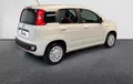 Miniature FIAT PANDA 1.2 69 ch S/S Easy extérieur trois quart arrière droit 2128766