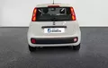 Miniature FIAT PANDA 1.2 69 ch S/S Easy extérieur arrière 2128766