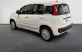 Miniature FIAT PANDA 1.2 69 ch S/S Easy extérieur trois quart arrière gauche 2128766