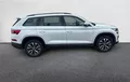 Miniature SKODA KODIAQ 2.0 TDI 150 SCR DSG7 5pl Business extérieur côté droit 2128505