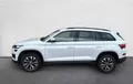 Miniature SKODA KODIAQ 2.0 TDI 150 SCR DSG7 5pl Business extérieur trois quart arrière gauche 2128505