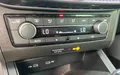 Miniature SEAT IBIZA 1.0 EcoTSI 110 ch S/S DSG7 Xcellence photo 13 2132063