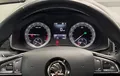 Miniature SKODA KODIAQ 2.0 TDI 190 SCR DSG7 4x4 7pl Style photo 16 213069