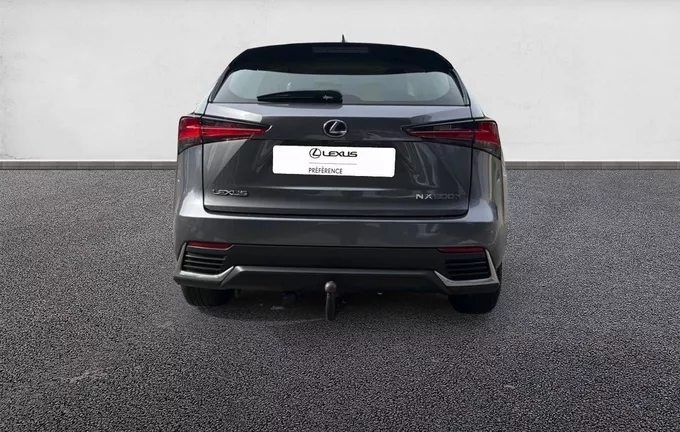 LEXUS NX 300h 2WD Pack extérieur arrière 1103375