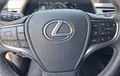 Miniature LEXUS UX 250h 4WD Luxe photo 12 1103675