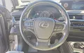 Miniature LEXUS UX 250h 2WD Premium Edition photo 12 1104055